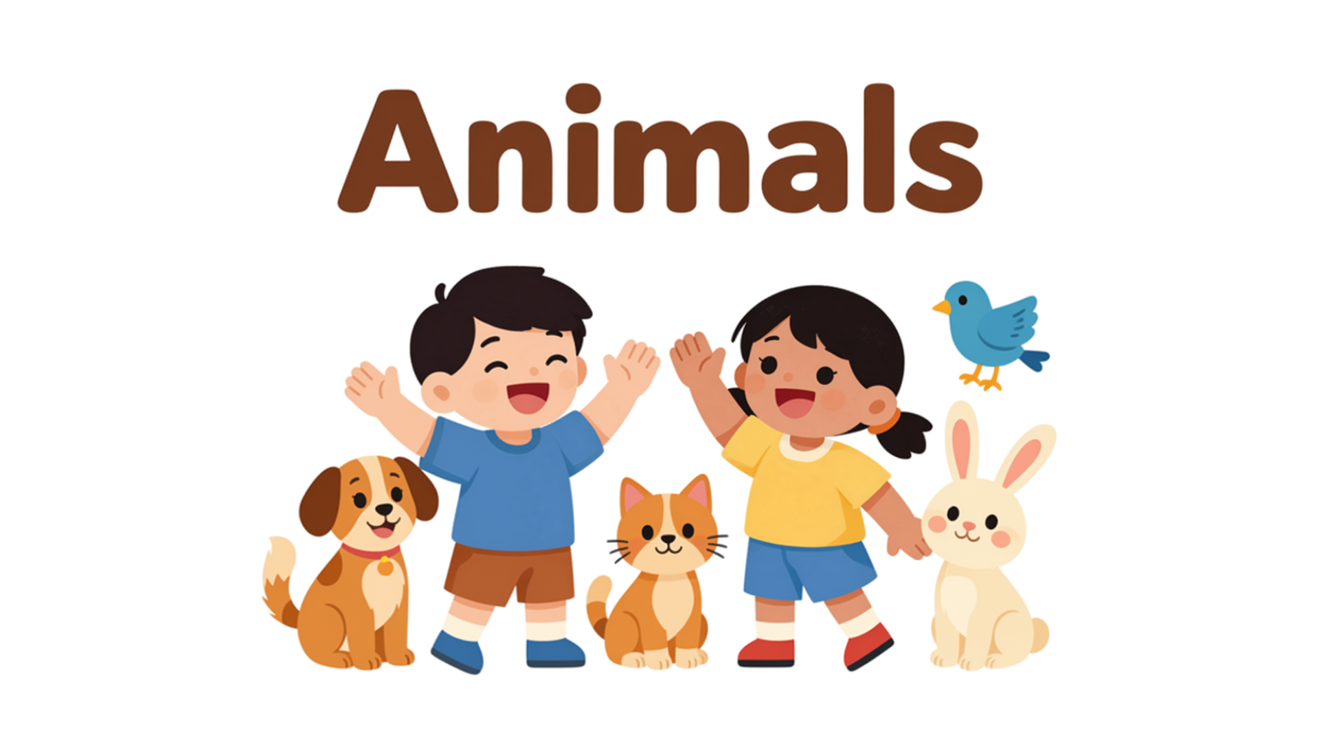 Illustrated cover for Auslan animals video