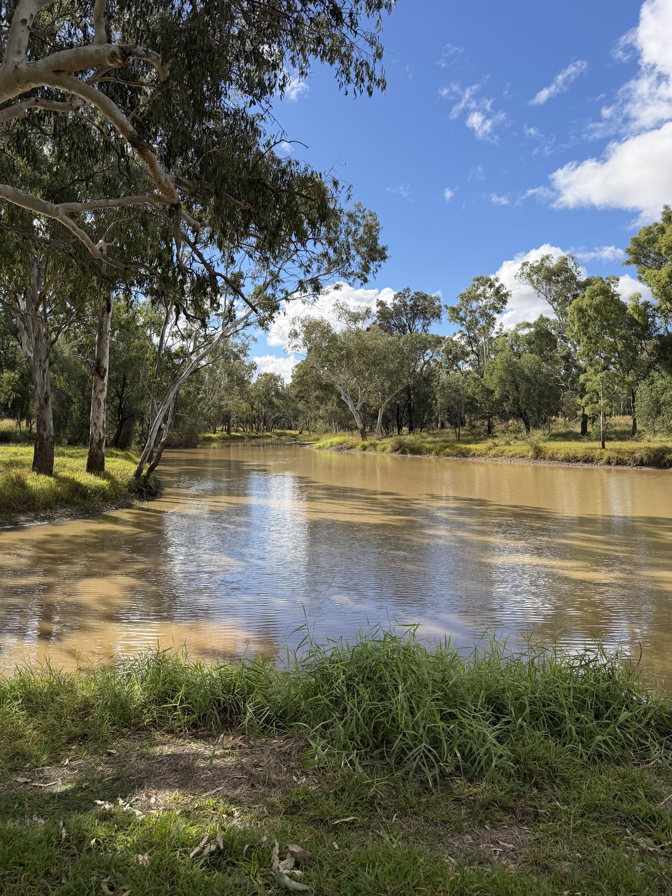 Judd's Lagoon with calm water, trees and reflected clouds