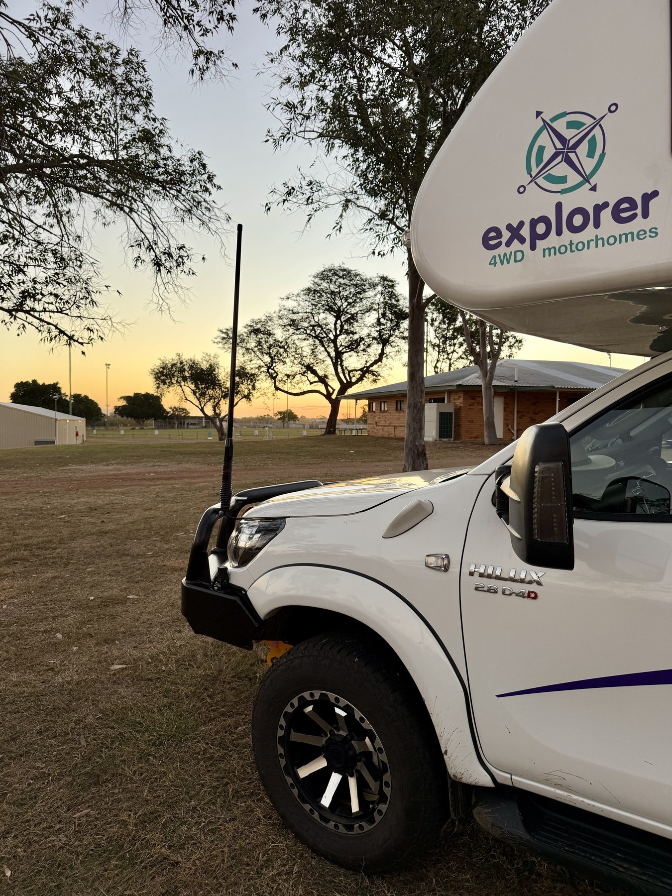 Close view of Elcee at Clermont Showgrounds with sunset light behind the trees