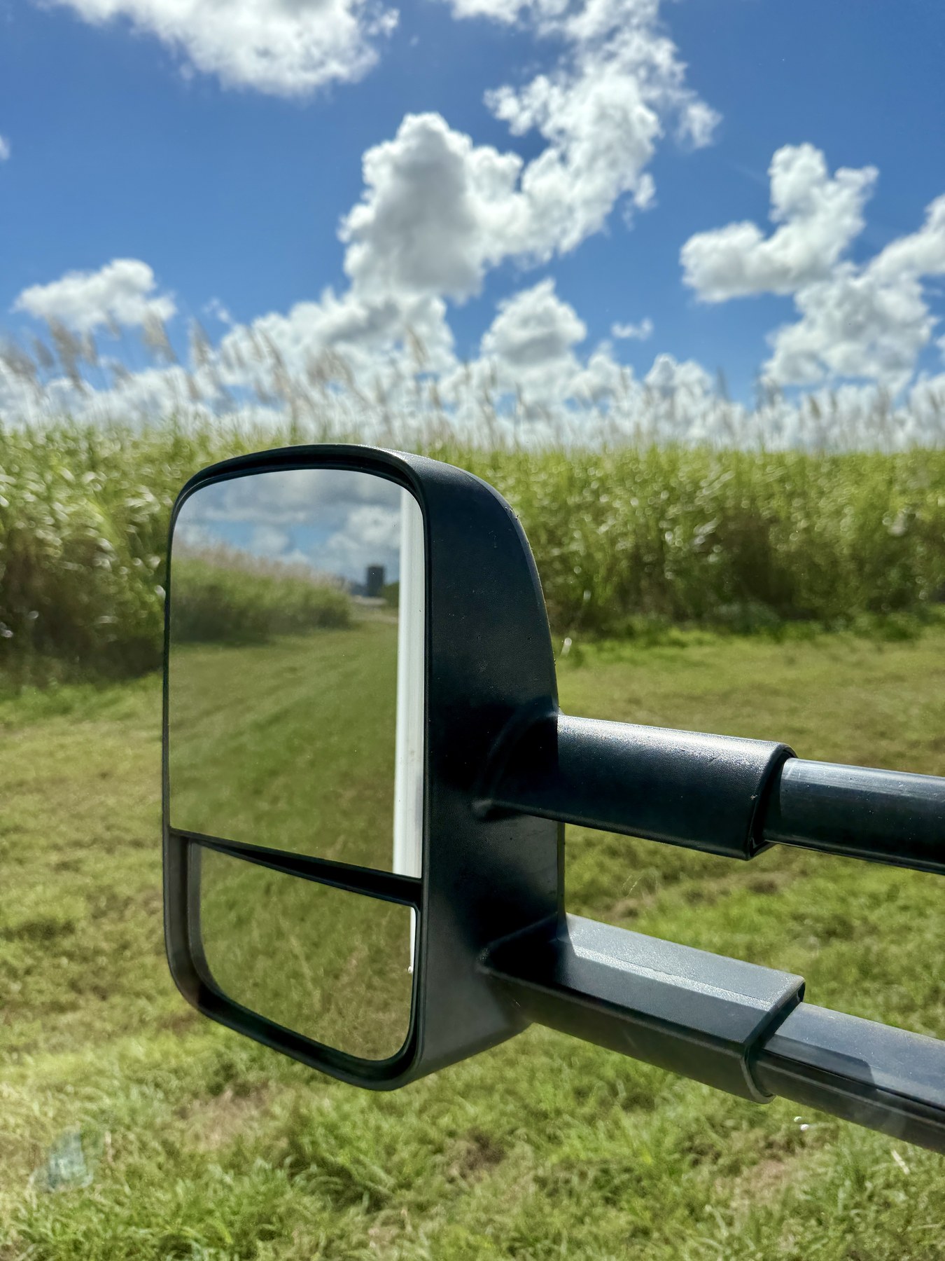 Sugar cane and clouds reflected in Elcee's side mirror