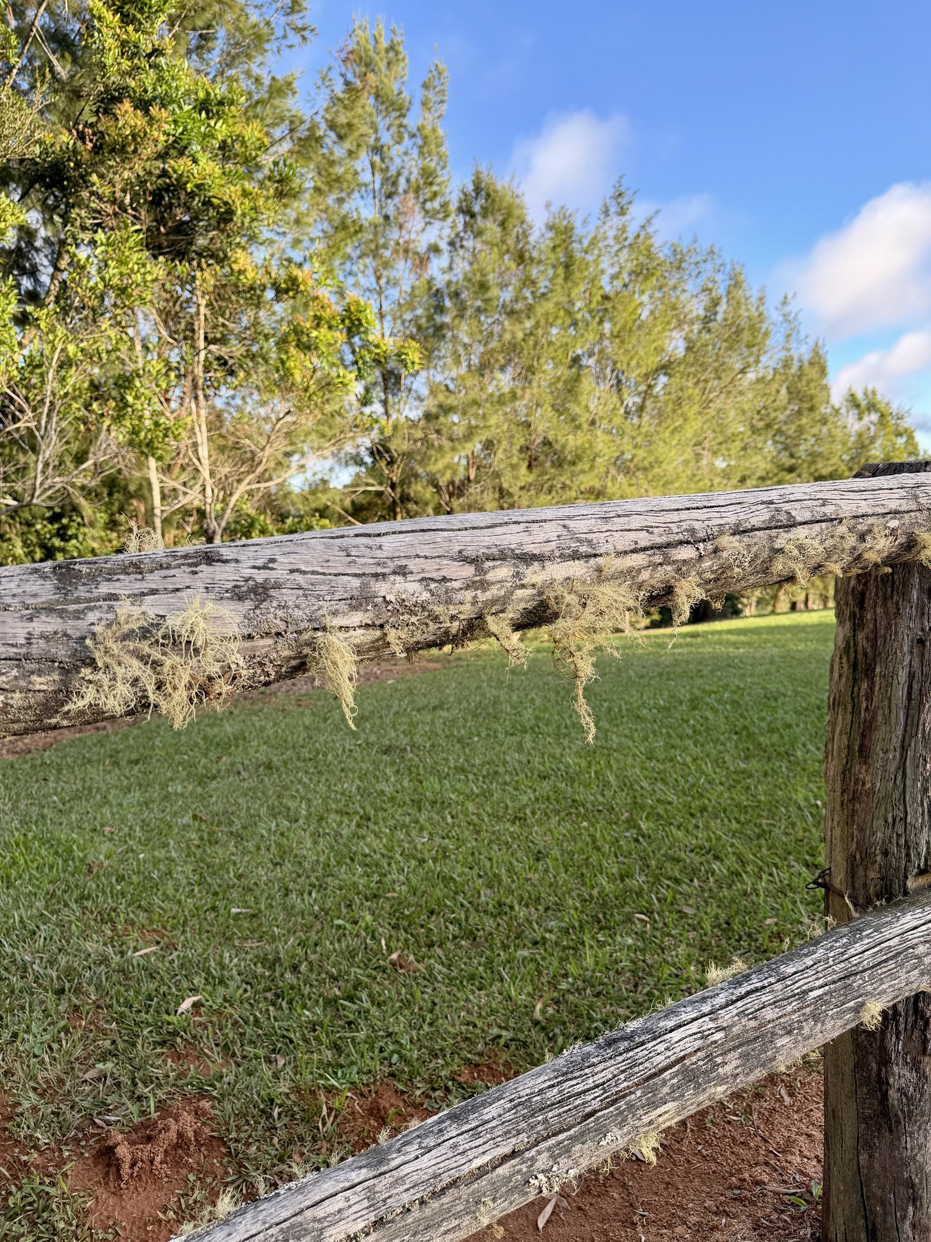 Rustic timber fence looking across green grass and trees
