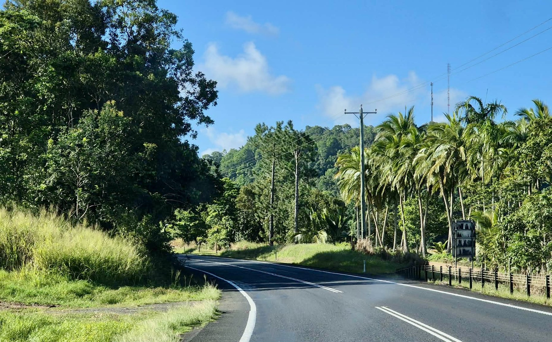 Green tropical road curving towards the Tablelands