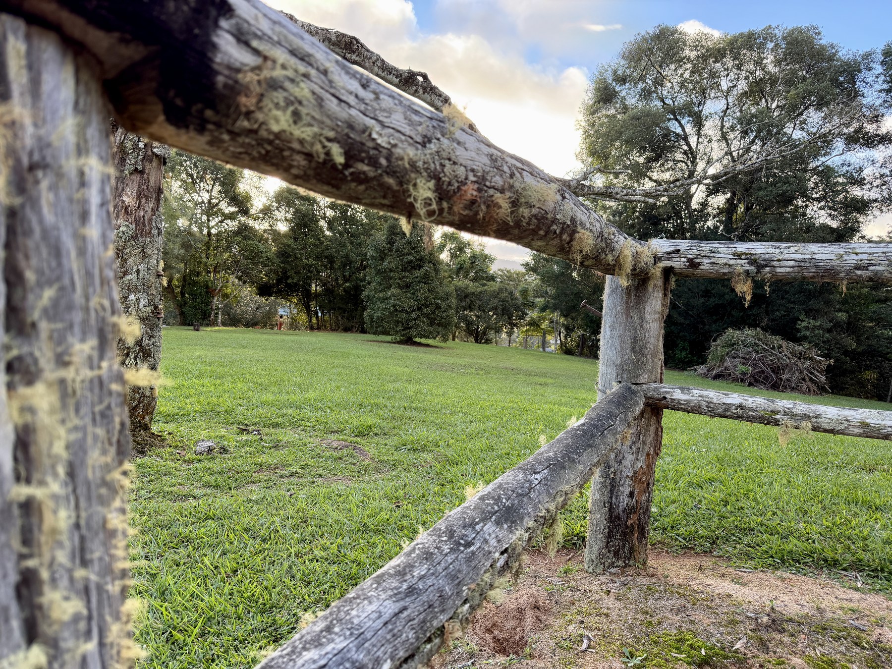 Garden fence and green lawn at Pam's Tablelands property