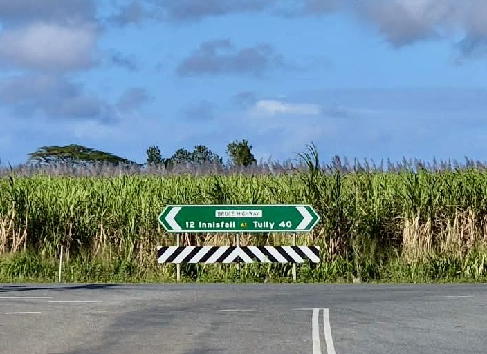 Road sign beside tall sugar cane fields on the way north