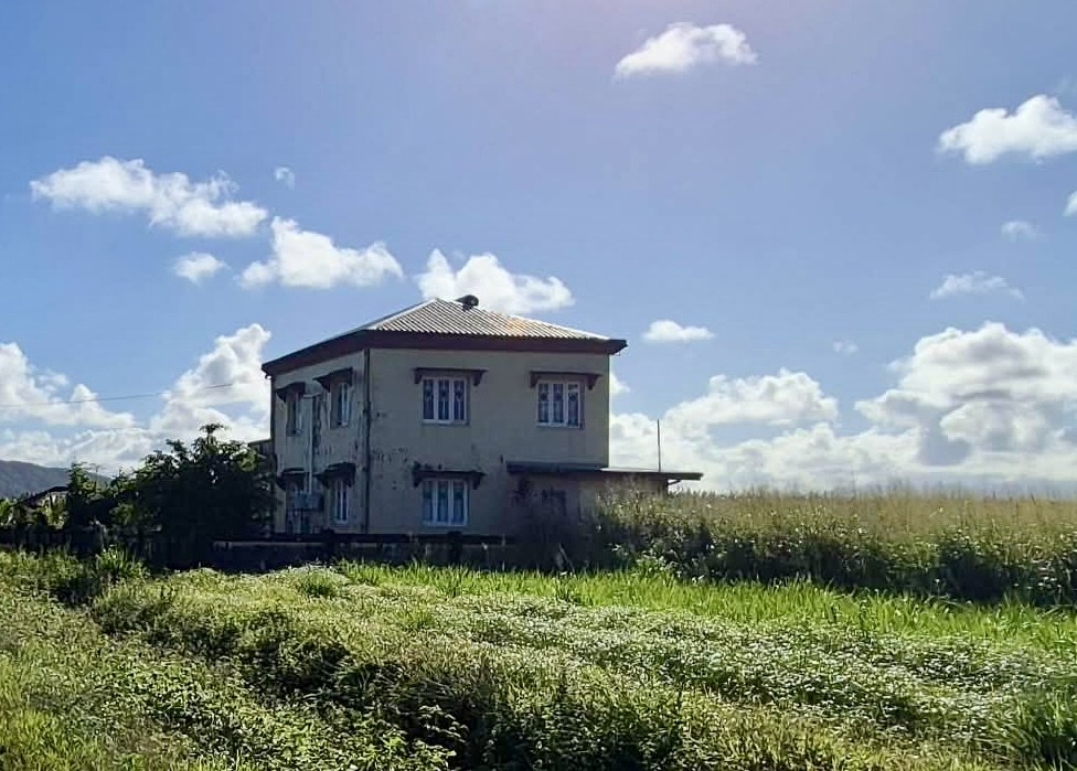 Small house surrounded by cane fields under a blue sky