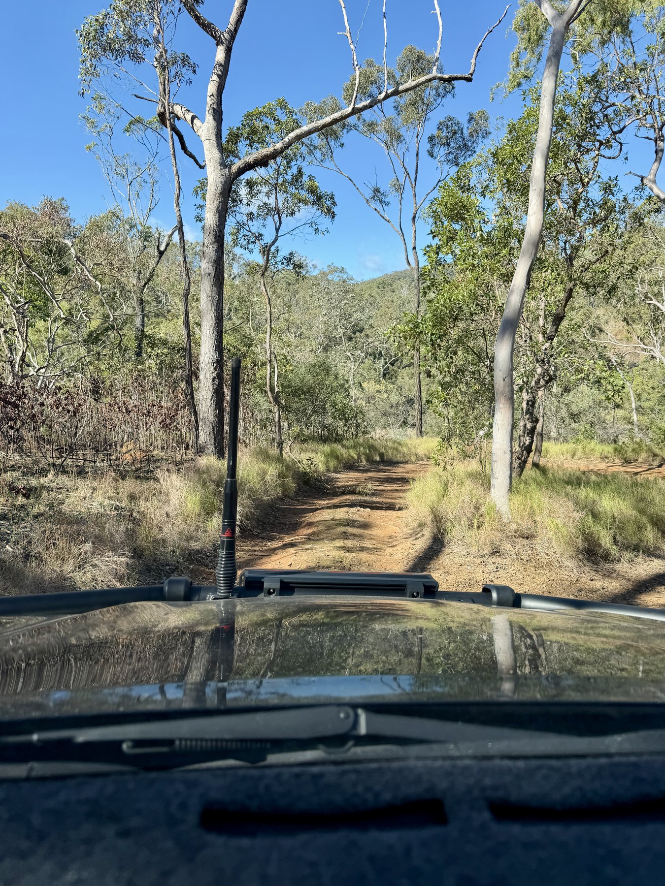 Rough bush track seen from inside Elcee on the way to the Army Swimming Hole