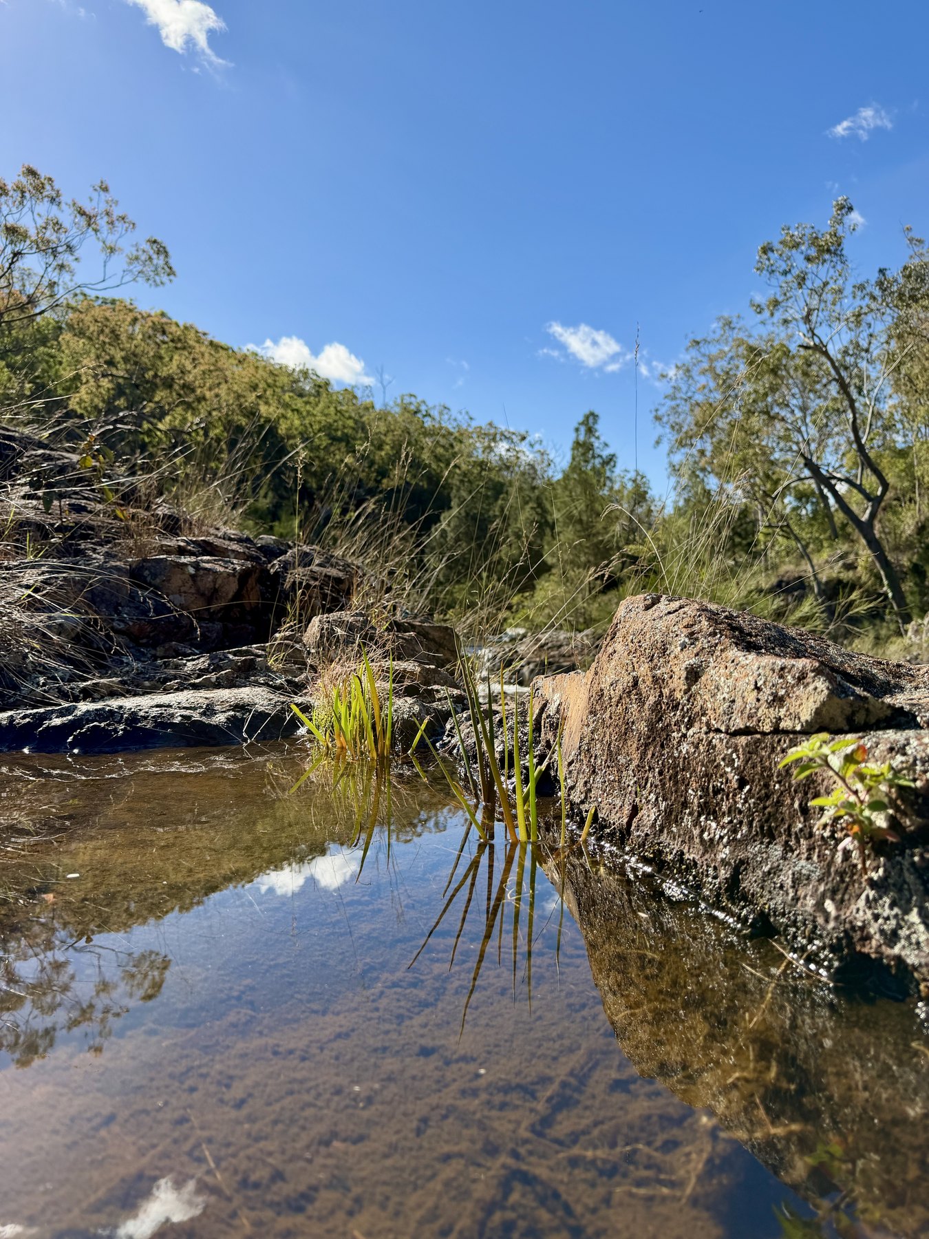Still creek water reflecting blue sky beside rocks and grasses