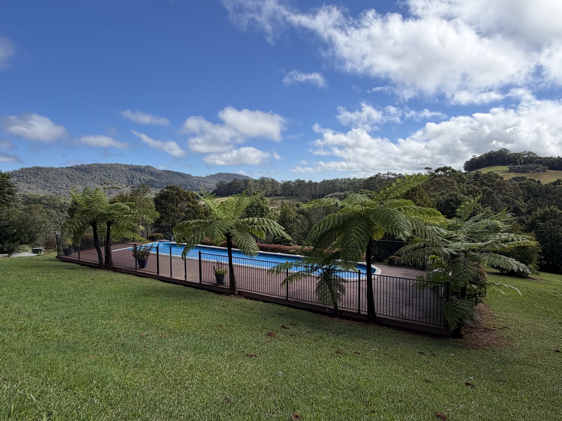 Pool and tree ferns overlooking rolling green hills