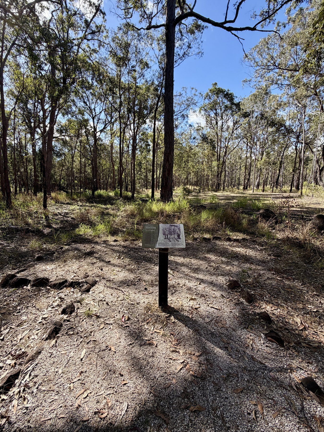 Open woodland with an interpretive sign at the old military camp