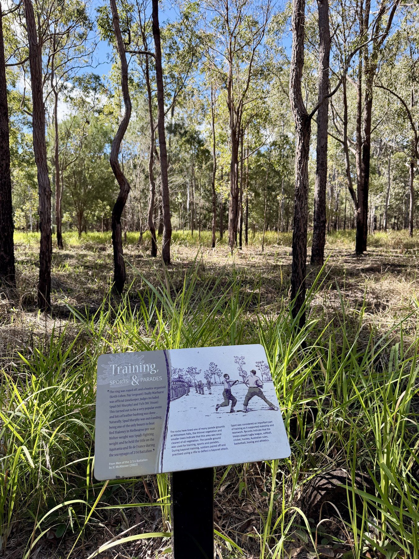 World War II training sign in open woodland near Millstream Falls