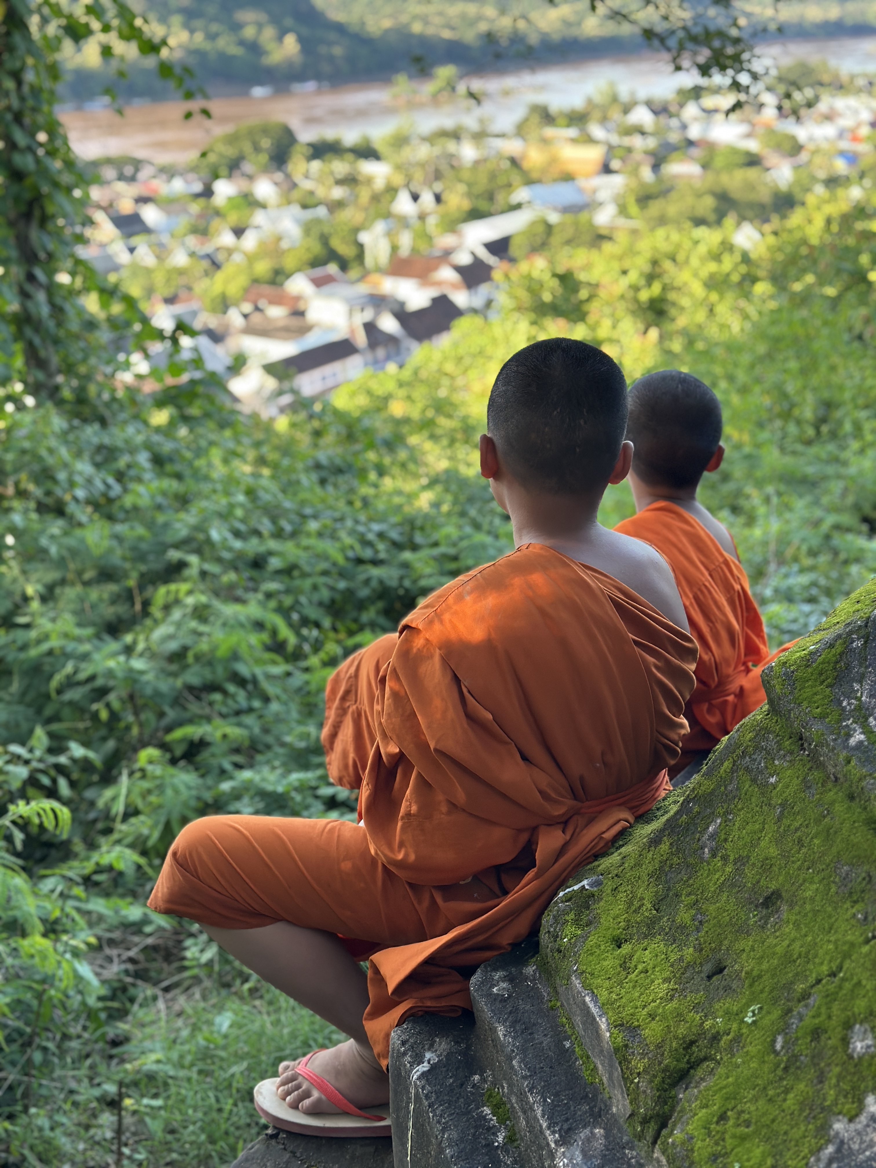 Two young monks overlooking Luang Prabang from a leafy hillside